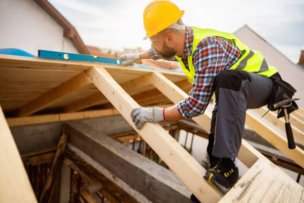 Best Roof Gutter Cleaning  in Fulton, MS